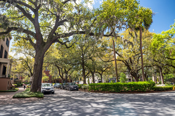 SAVANNAH, GA - APRIL 2, 2018: Beautiful park and buildings of Savannah, Georgia