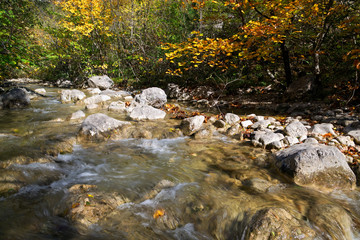 Stream in autumn, Paklenica National Park, Croatia