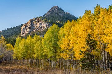 Fall Foliage In Golden Gate State Park, Golden Colorado