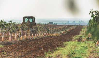tractor cultivates agricultural land