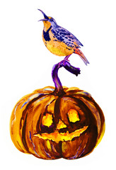 Halloween pumpkin with bird on white. Holidays watercolor illustration - 295047401