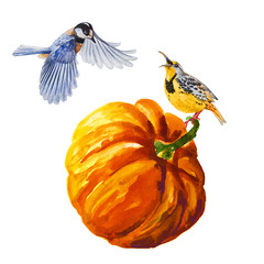 Halloween pumpkin with bird on white. Holidays watercolor illustration - 295047434