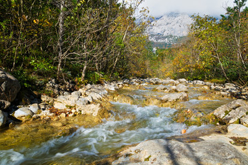 Naklejka na ściany i meble Stream in autumn, Paklenica National Park, Croatia