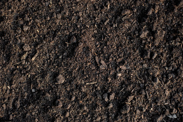 Fertile loam soil suitable for planting, soil texture background.