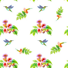Campsis flower with hummingbird isolated on white.Seamless pattern - 295048064