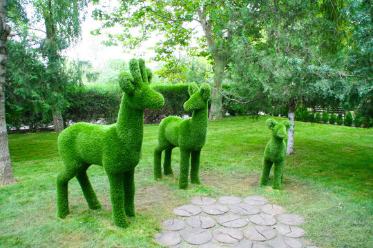 Sculptures of three deer in full face in the Park green on the background of trees.