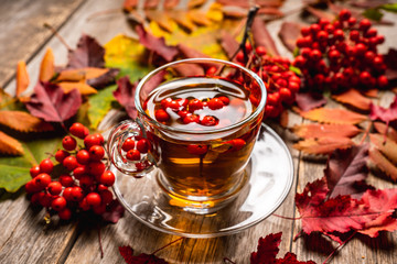 Hot tea in glass cup with rowan and atmospheric autumn decorations. Selective focus. Shallow depth of field.