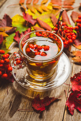 Hot tea in glass cup with rowan and atmospheric autumn decorations. Selective focus. Shallow depth of field.