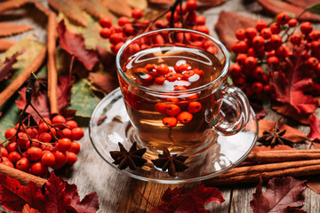 Hot tea in glass cup with rowan and atmospheric autumn decorations. Selective focus. Shallow depth of field.