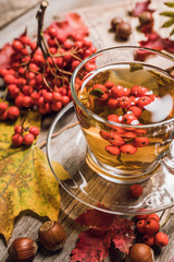 Hot tea in glass cup with rowan and atmospheric autumn decorations. Selective focus. Shallow depth of field.