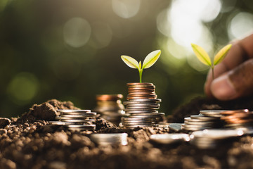 Various kinds of coins are stacked on top of the ground and there are growing seedlings on top,...