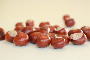diy chestnuts harvest from the forest. Good ideas for creative concept for kids