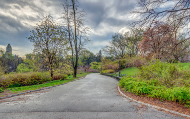 Central Park in spring