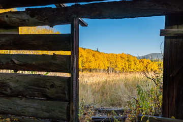 Fall Foliage In Golden Gate State Park, Golden Colorado © Zach