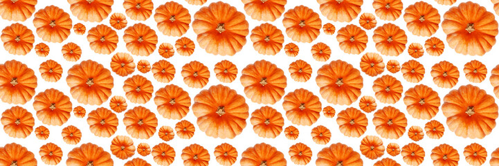 Seamless pattern with pumpkin. Abstract background. Pumpkins isolated on white background. Banner. Top view