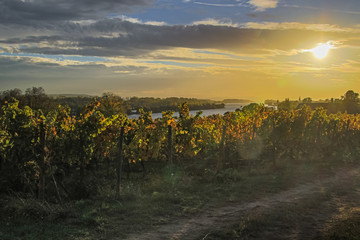 Rhein bei Eltville Sonnenuntergang 1