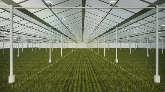 Measure plant condition in smart farm, vinyl house, smart agriculture of internet of things. 4k animation. 