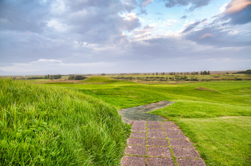 Blue cloudy sky over green meadow
