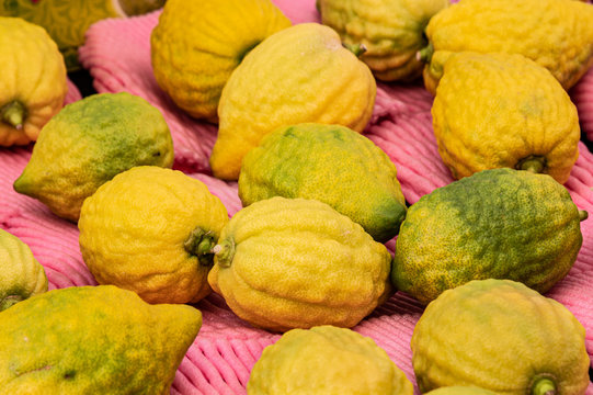 Citrons, the centerpiece fruit of the Four Species of the Sukkot Festival,  for sale in Jerusalem's Machane Yehuda outdoor market.