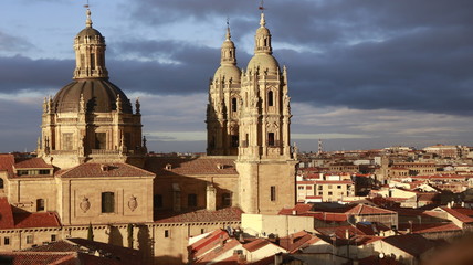 Fototapeta premium Salamanca Cathedral 