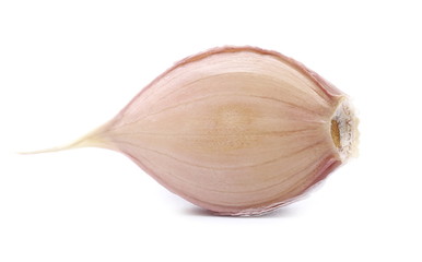 Garlic clove isolated on white background, macro