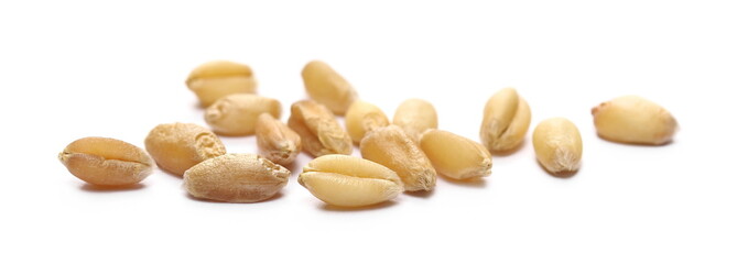 Wheat kernels isolated on white background, macro