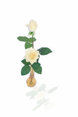 Bunch of white roses in a glass vase isolated on white background, vase with flower bouquet, with clipping path.