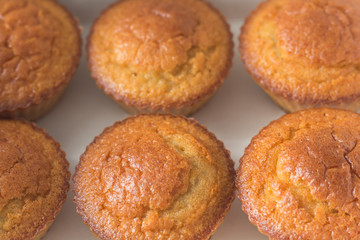 Muffins placed next to each other on a white background