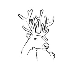 illustration isolated deer nature lines 
