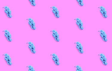 Colorful fruit pattern of blue grapes on pink background. From top view
