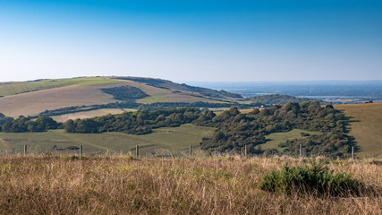 Fototapeta na wymiar The South Downs, East Sussex, England. The countryside of the South Downs on the south coast of England on a bright autumnal day.