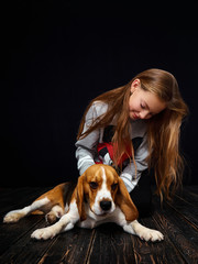 A red-haired girl of ten years old plays with a beagle puppy sitting on a dark wooden floor...