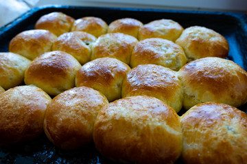Baked hot buns. Sweet buns on a baking sheet.