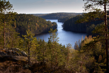Fototapeta na wymiar panorama of blue lake and green forest on a sunny summer day. Finland.