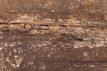 Wood texture with natural pattern for design and decoration