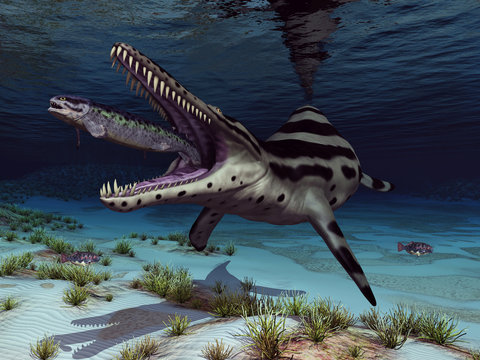 Kronosaurus attackiert Rhizodus