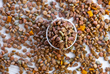 Top view of dry pet food in a ceramic bowl