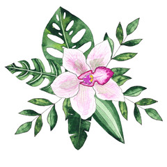 Watercolor handwritten tropical bouquets with pink and green flowers orchids and leaves