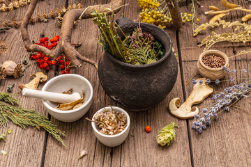 Witch's Laboratory. Alchemical equipment, Halloween concept