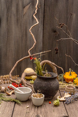 Witch's Laboratory. Alchemical equipment, Halloween concept
