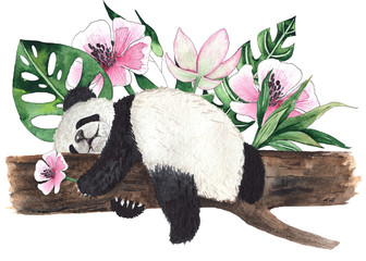 Watercolor compositions with pandas and tropical flowers, palm leaves, green bamboo on a white background © Анна Егорова