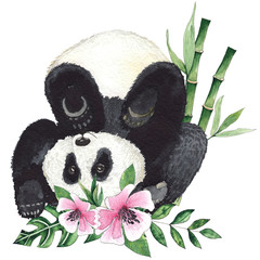 Watercolor compositions with pandas and tropical flowers, palm leaves, green bamboo on a white background © Анна Егорова