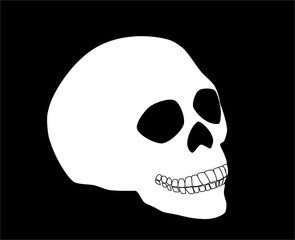 White human skull isolated on black background, vector eps 10