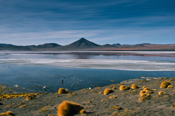 Laguna Colorada Bolivien