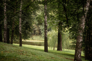 Fototapeta na wymiar summer day among green trees in a park by the lake