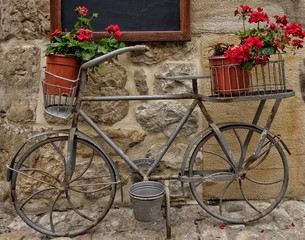 Fototapeta na wymiar jardin y bicicleta