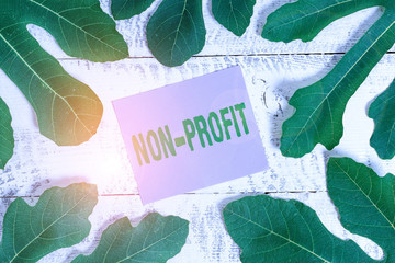 Handwriting text writing Non Profit. Conceptual photo type of organization that does not earn...