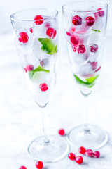 mint and red berries in ice cubes in glasses white background