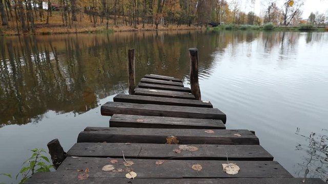 autumn reflection of trees in lake with ducks plaing around