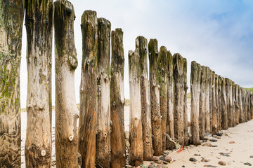 Wooden breakwater on the beach. North Sea. Sylt island.